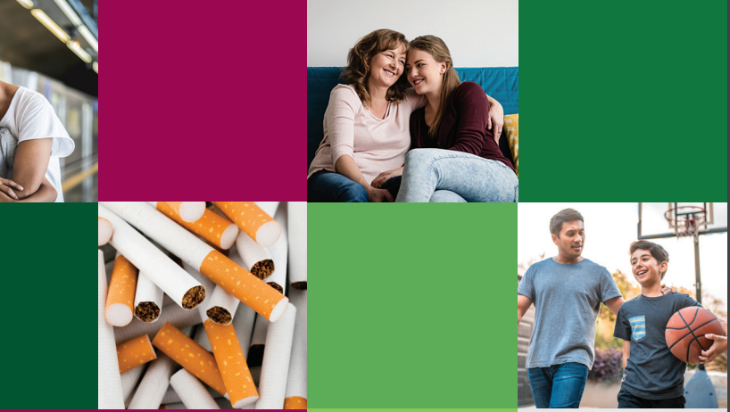 How to Talk to Your Kids about Tobacco and E Cigarettes Section 2