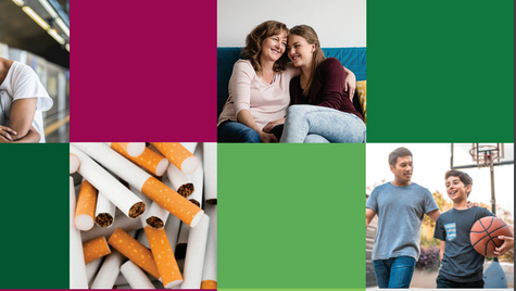 How to Talk to Your Kids about Tobacco and E-Cigarettes Section 2.